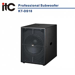 iTC KT-DS18 Professional Subwoofer
