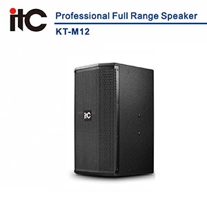 iTC KT-M12 Professional Full Range Speaker